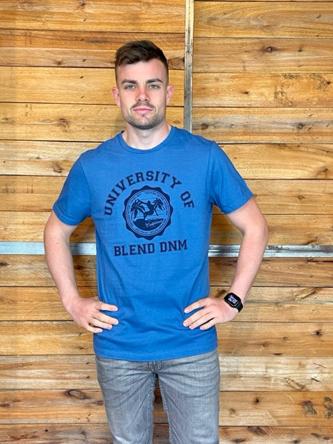 Camiseta azul